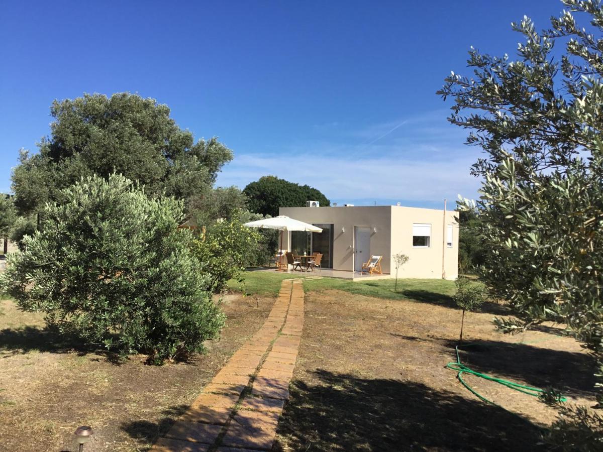 Oikia Ampavris Villa Kos Exterior foto