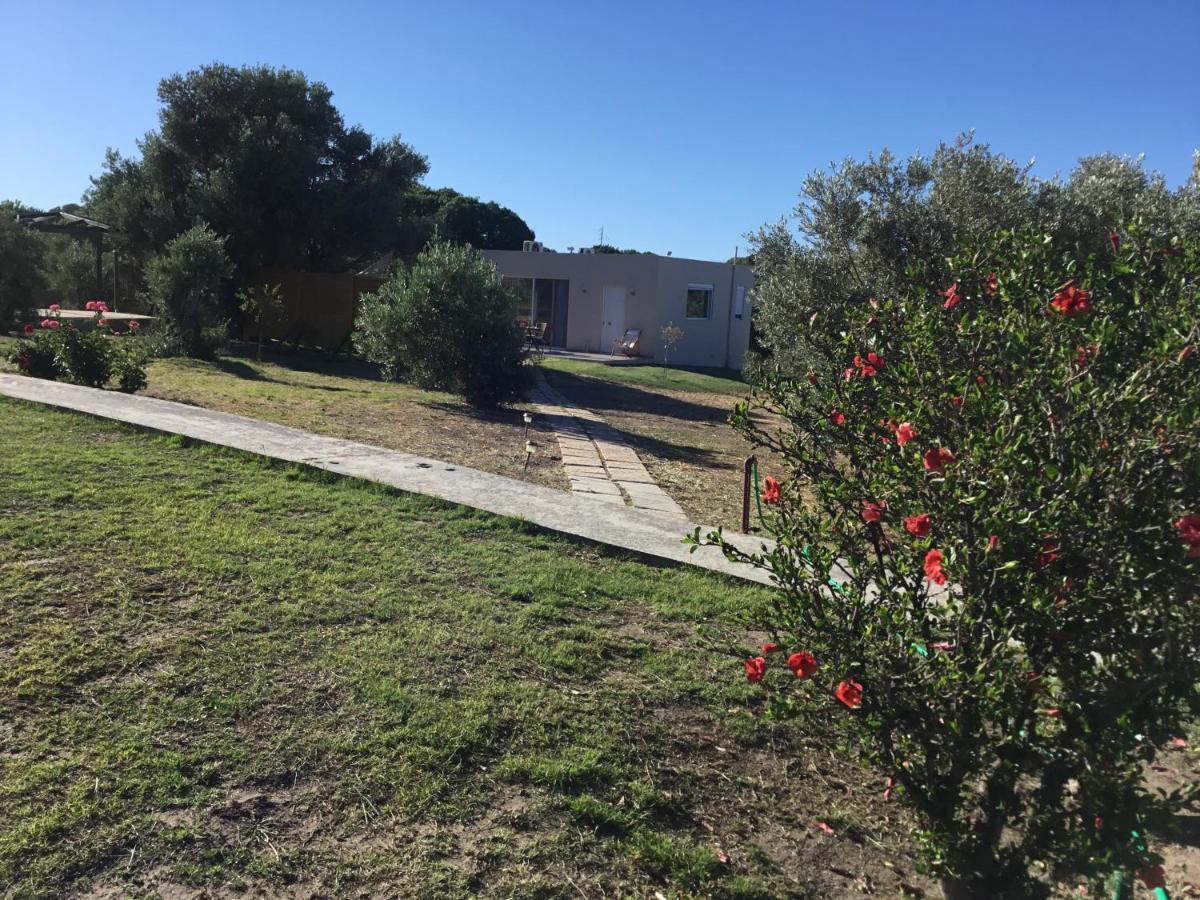 Oikia Ampavris Villa Kos Exterior foto